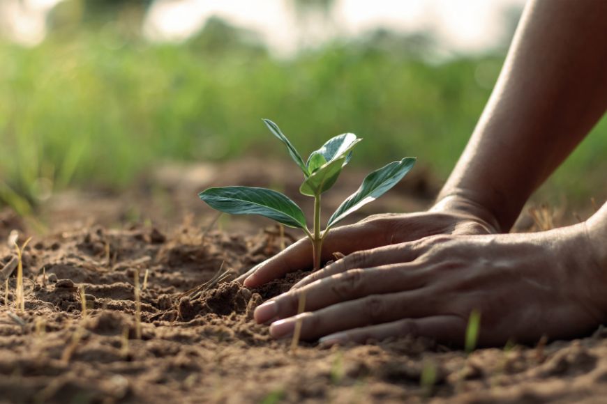 Cultivating New Habits