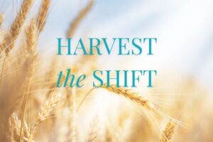 Harvest Collection Featured Image