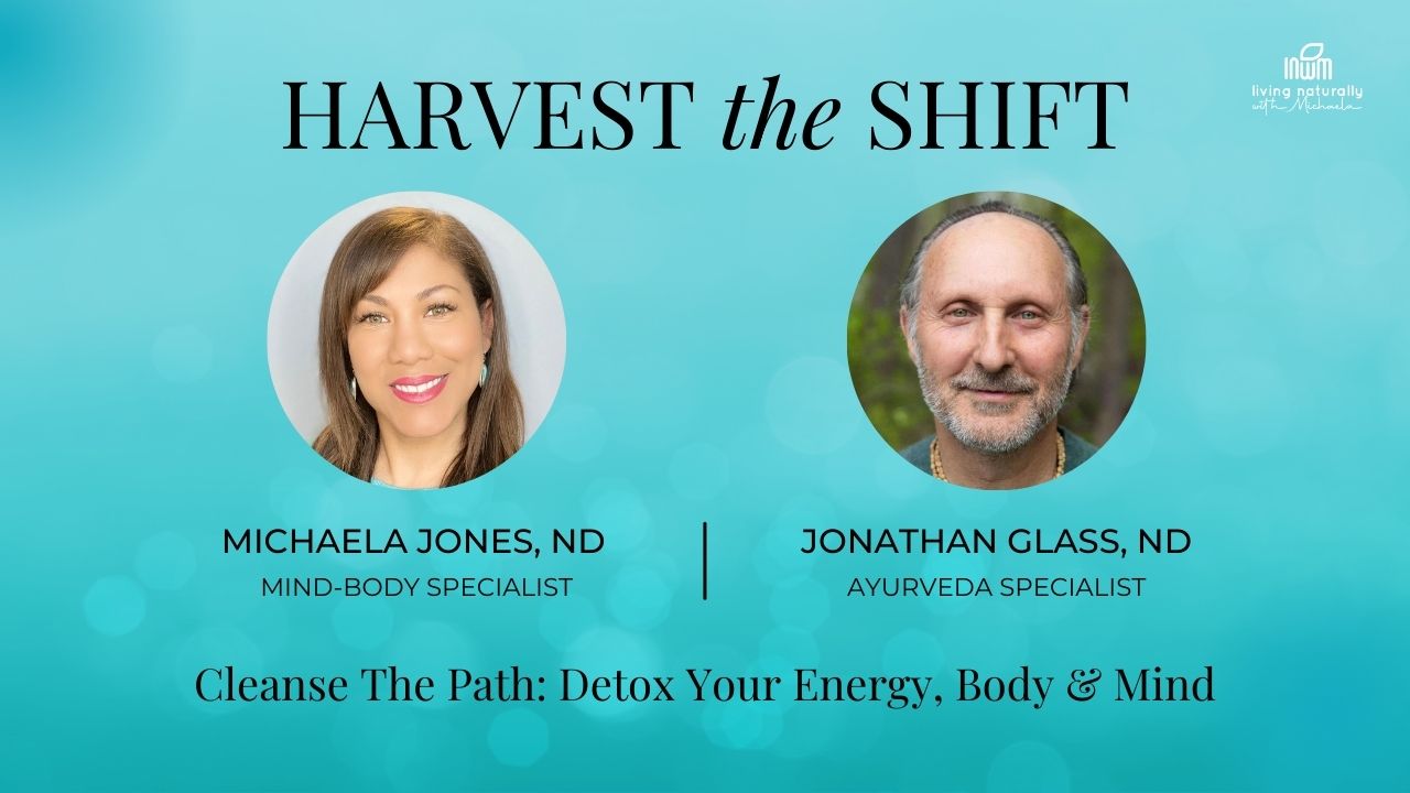 Harvest Week 4 Video Thumbnail