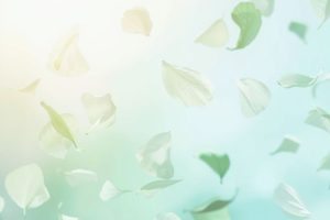 Falling leaves on blue green background